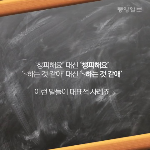 서울사투리가 있다구?(feat.이효리,김민희) | 인스티즈