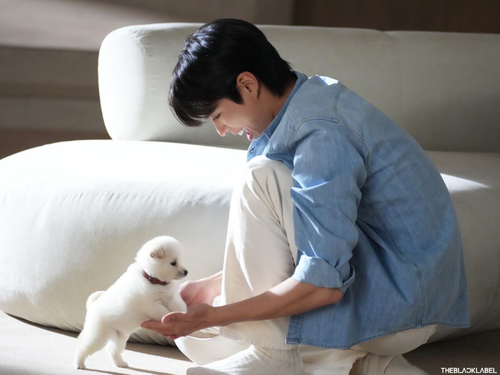 돈벌면서 사심채우는 연예인 | 인스티즈