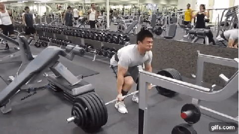 디시 헬스갤 일반인 최강자 ㄷㄷㄷ. gif | 인스티즈