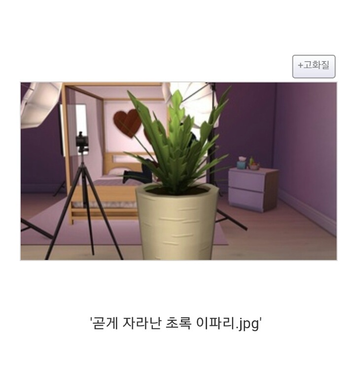 심즈4 '리얼 사랑나누기 모드' | 인스티즈