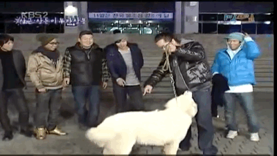 지상렬 상근이 개레전드 | 인스티즈