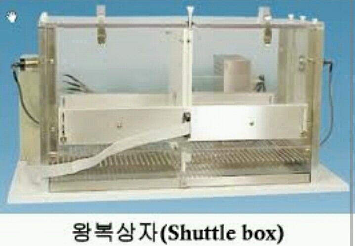 심리학의 10대 비윤리적 실험 쉬어가는 Part. 당신은 스스로 무기력을 학습시키는가 - 학습된 무기력 | 인스티즈