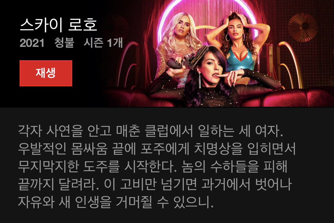 오늘도 넷플릭스 결제만 하고 아무것도 보고있지 않는 방석이들을 위한 드라마 소개글 | 인스티즈