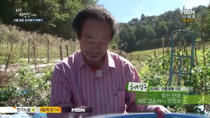 나는 자연인이다 말벌킬러 허명구씨ㅋㅋㅋㅋㅋㅋ | 인스티즈