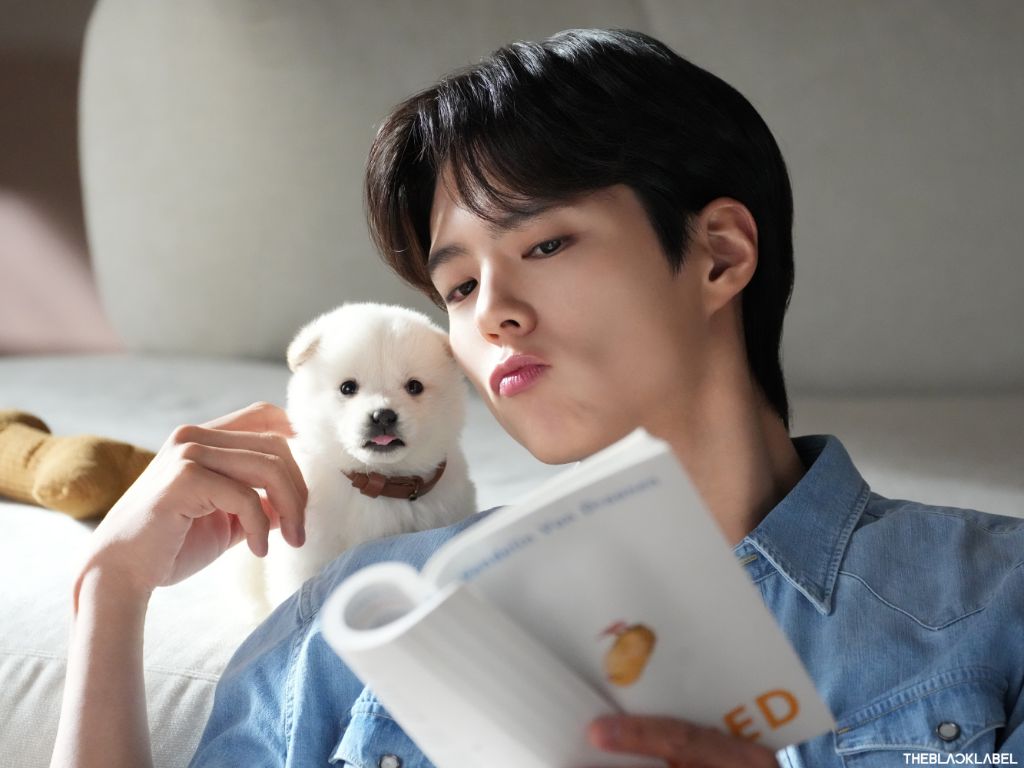 돈벌면서 사심채우는 연예인 | 인스티즈