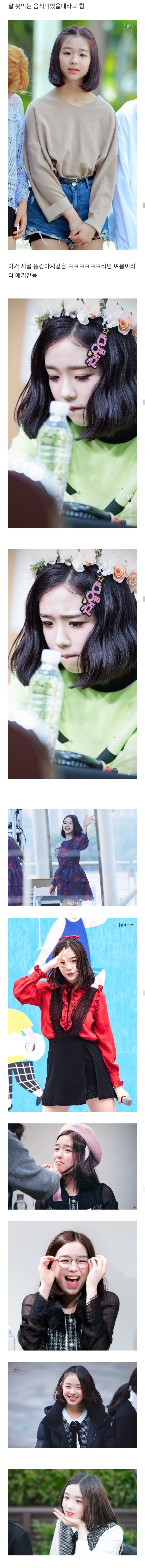 똥강아지상으로 생긴 여자아이돌.jpgif | 인스티즈