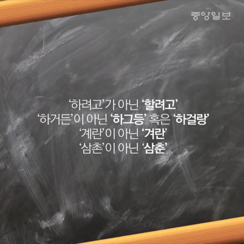 서울사투리가 있다구?(feat.이효리,김민희) | 인스티즈