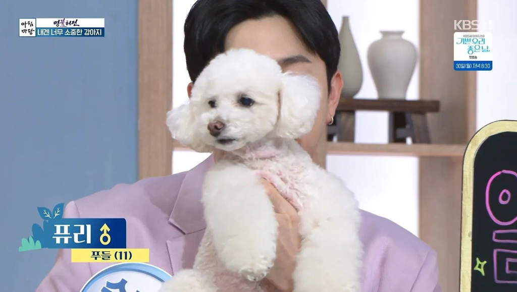 오늘자 아침마당 개스트 출연 | 인스티즈