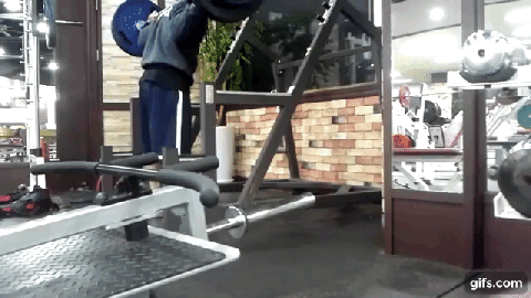 디시 헬스갤 일반인 최강자 ㄷㄷㄷ. gif | 인스티즈