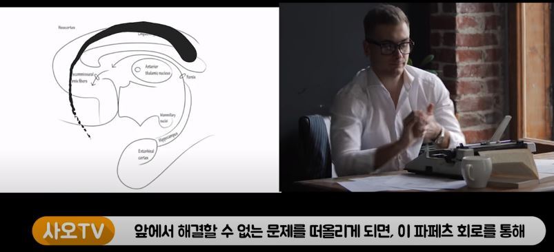 공부하다 떠오른 흑역사 & 나쁜 생각 때문에 공부에 집중이 안된 경험 있니? (뇌과학) | 인스티즈