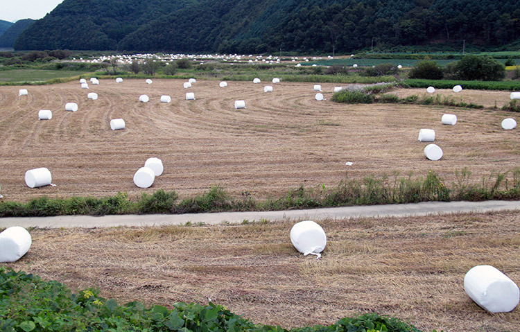 딱히 '명칭'이 떠오르지 않는 물건 13가지 | 인스티즈