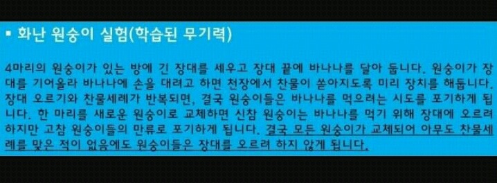 심리학의 10대 비윤리적 실험 쉬어가는 Part. 당신은 스스로 무기력을 학습시키는가 - 학습된 무기력 | 인스티즈