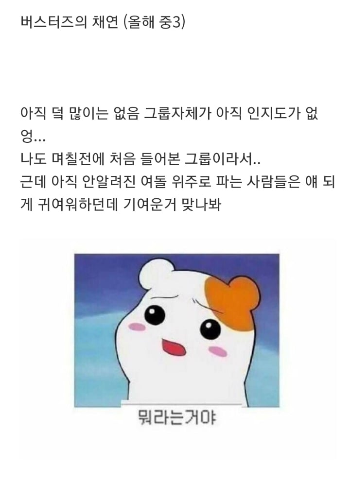 똥강아지상으로 생긴 여자아이돌.jpgif | 인스티즈