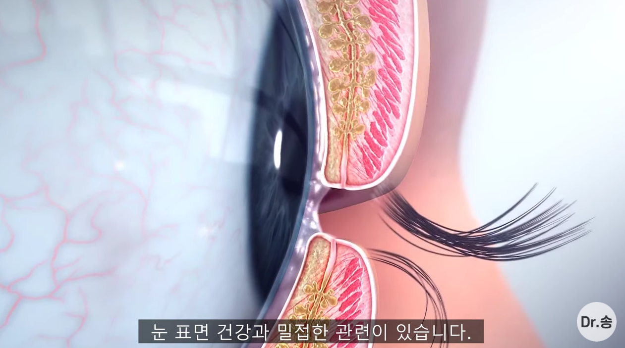 눈 충혈 없애는 법 - 만성 충혈은 이렇게 관리하는 겁니다 | 인스티즈