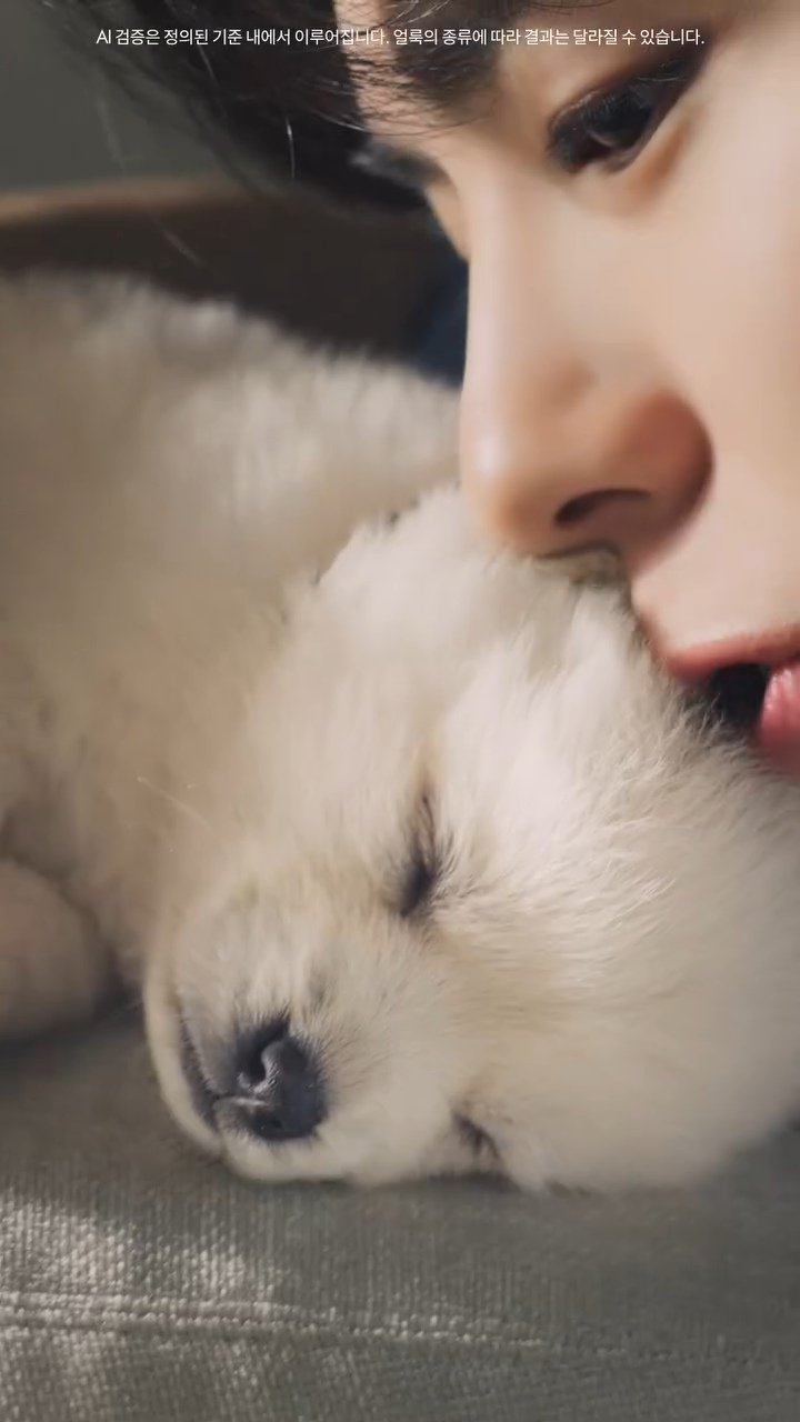 돈벌면서 사심채우는 연예인 | 인스티즈