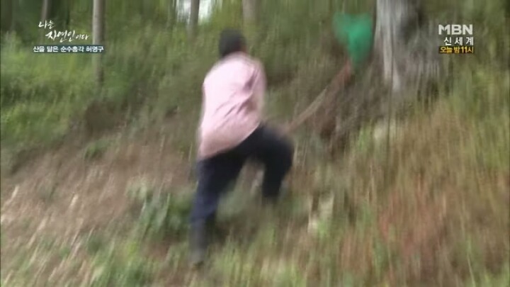 나는 자연인이다 말벌킬러 허명구씨ㅋㅋㅋㅋㅋㅋ | 인스티즈