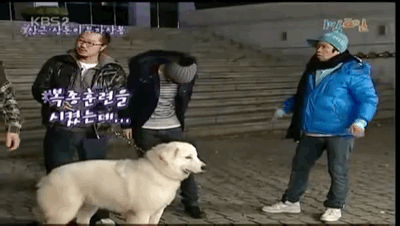 지상렬 상근이 개레전드 | 인스티즈