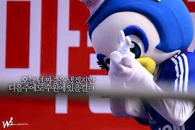 오직 수원팬들만이 소장할 수 있는 짤이다.jpg | 인스티즈