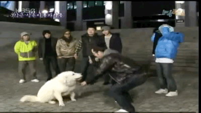 지상렬 상근이 개레전드 | 인스티즈