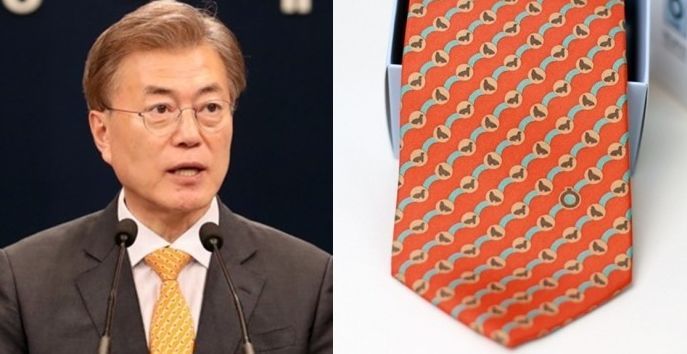 강치가 뭐게 | 인스티즈