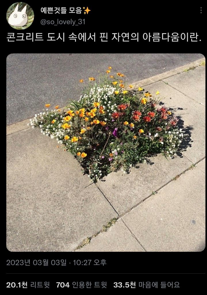 내게 필요한 것들은 반드시 온다. twt | 인스티즈