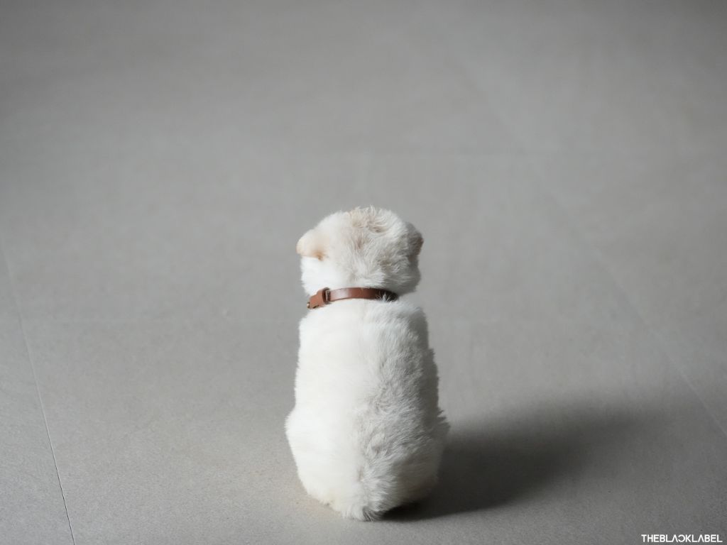 돈벌면서 사심채우는 연예인 | 인스티즈