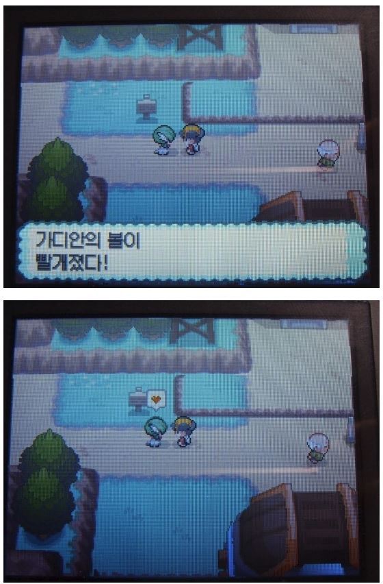 인간과 사랑을 나누었던 포켓몬 | 인스티즈