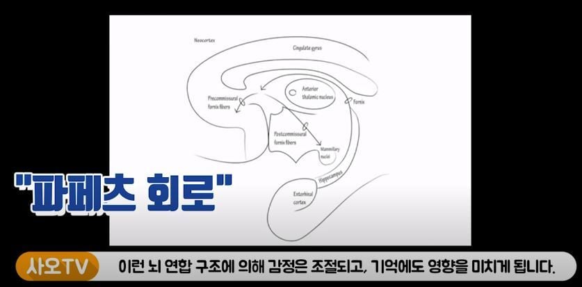 공부하다 떠오른 흑역사 & 나쁜 생각 때문에 공부에 집중이 안된 경험 있니? (뇌과학) | 인스티즈