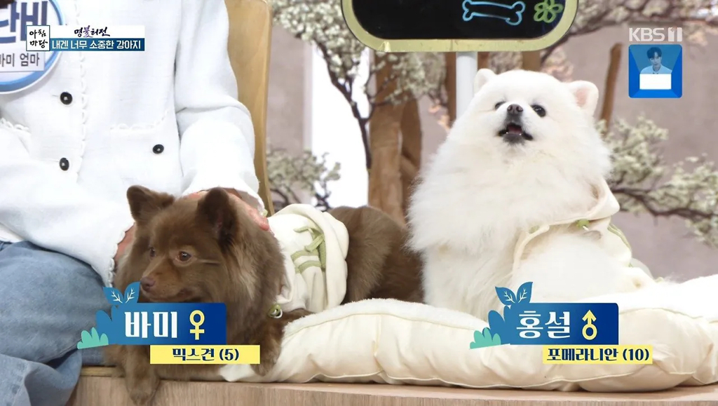 오늘자 아침마당 개스트 출연 | 인스티즈