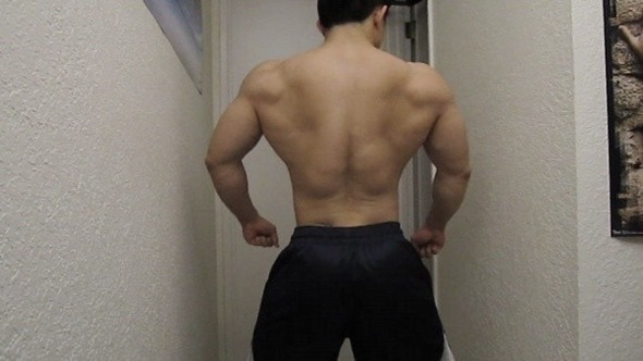 디시 헬스갤 일반인 최강자 ㄷㄷㄷ. gif | 인스티즈