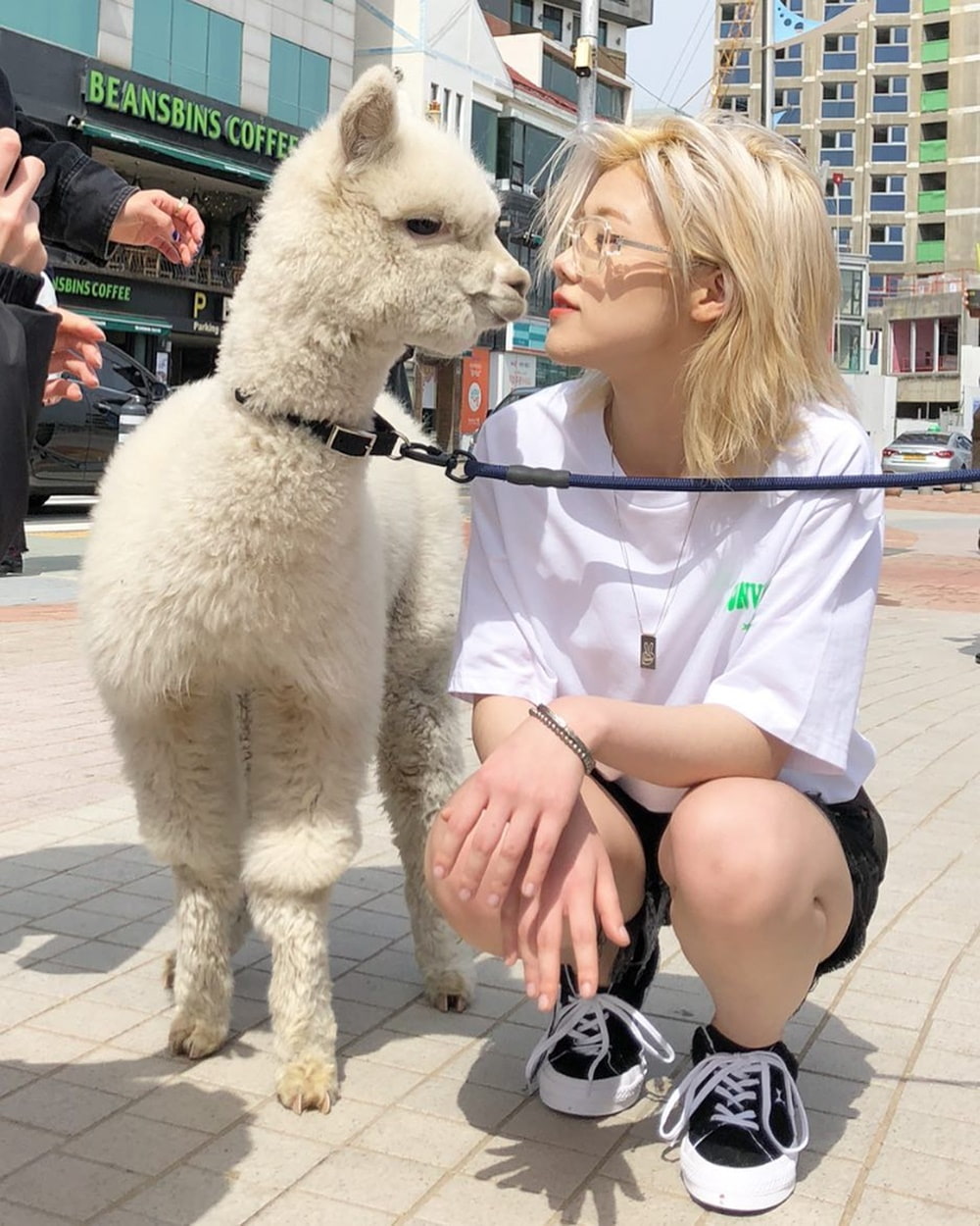 고인물에서 점점 세련되고 감각적으로 바뀌고있는 장르 | 인스티즈