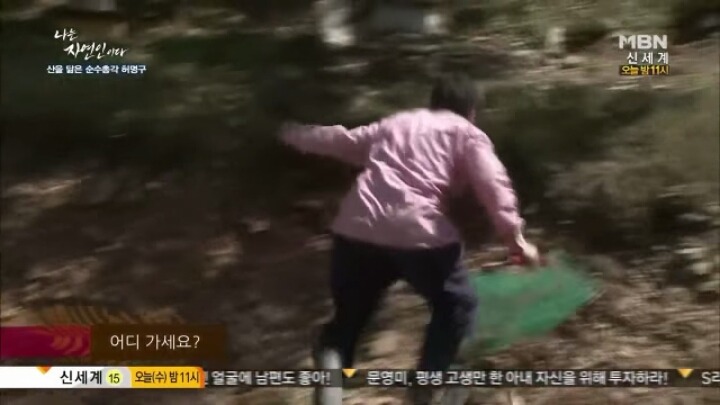 나는 자연인이다 말벌킬러 허명구씨ㅋㅋㅋㅋㅋㅋ | 인스티즈