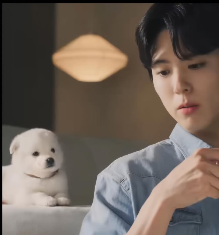 돈벌면서 사심채우는 연예인 | 인스티즈