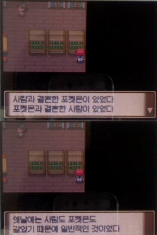 인간과 사랑을 나누었던 포켓몬 | 인스티즈