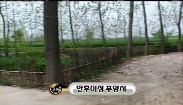 중국의 피 팔아서 에이즈 천국된 농촌마을 ㄷㄷㄷ | 인스티즈