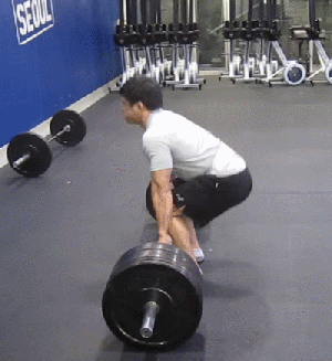 디시 헬스갤 일반인 최강자 ㄷㄷㄷ. gif | 인스티즈