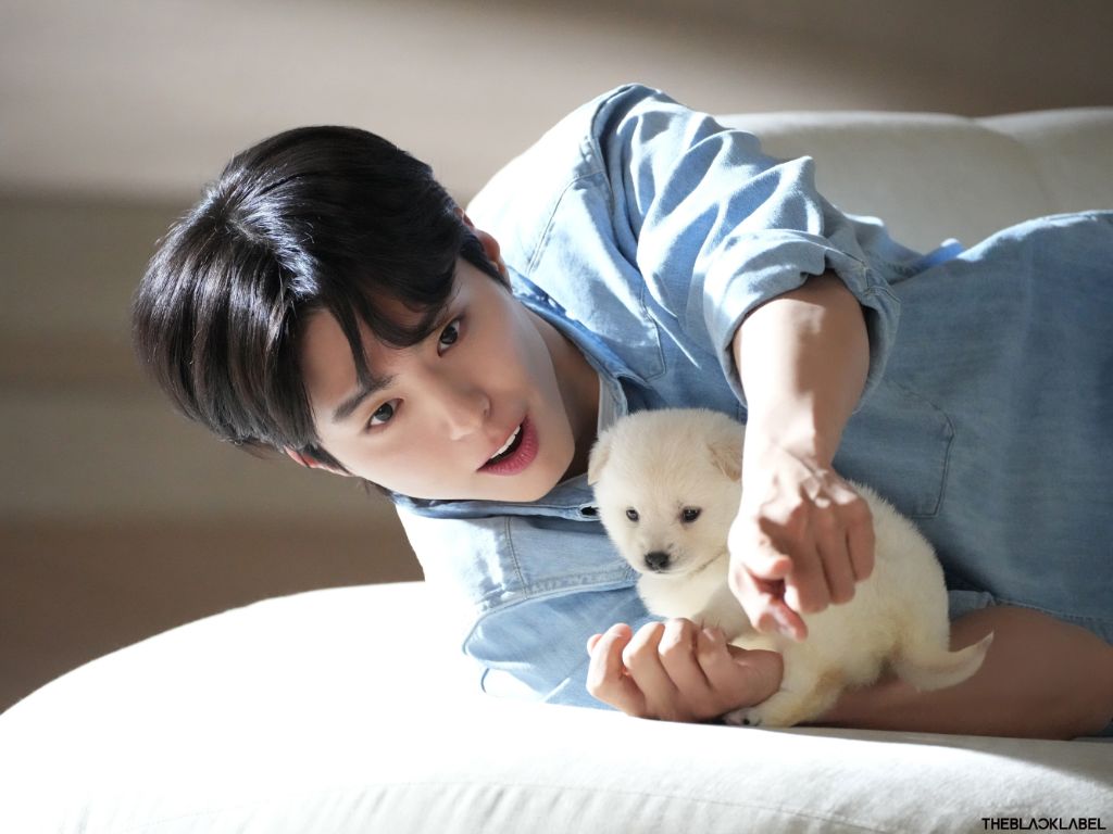 돈벌면서 사심채우는 연예인 | 인스티즈