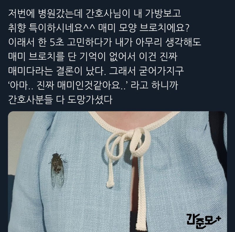 간호사님이 내 가방 보고 취향 특이하시네요 ^^ | 인스티즈