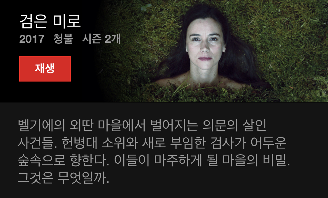 오늘도 넷플릭스 결제만 하고 아무것도 보고있지 않는 방석이들을 위한 드라마 소개글 | 인스티즈
