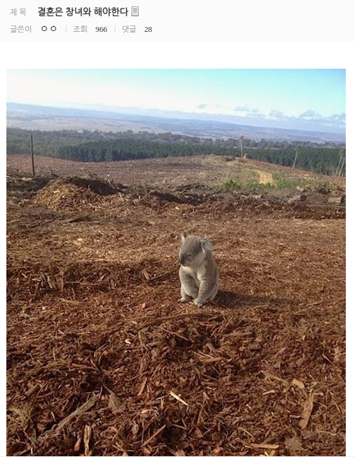 결혼하고 후회하는 사람들.jpg | 인스티즈