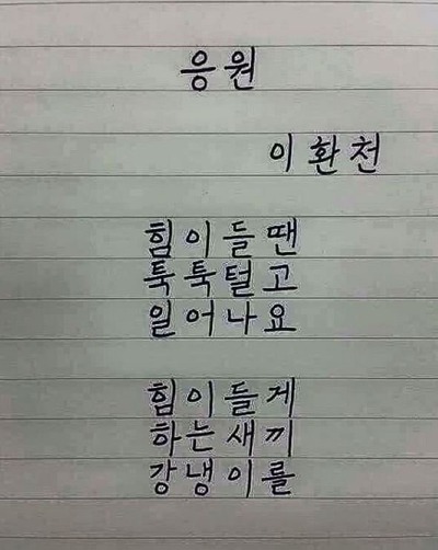 2001년 4세 여아 토막 살인사건의 전말 | 인스티즈