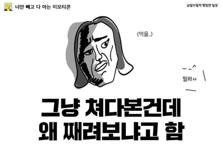 기 쎄게 생긴 사람들 공감 | 인스티즈