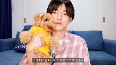 엔시티 태용 닮았다는 일본인배우 | 인스티즈