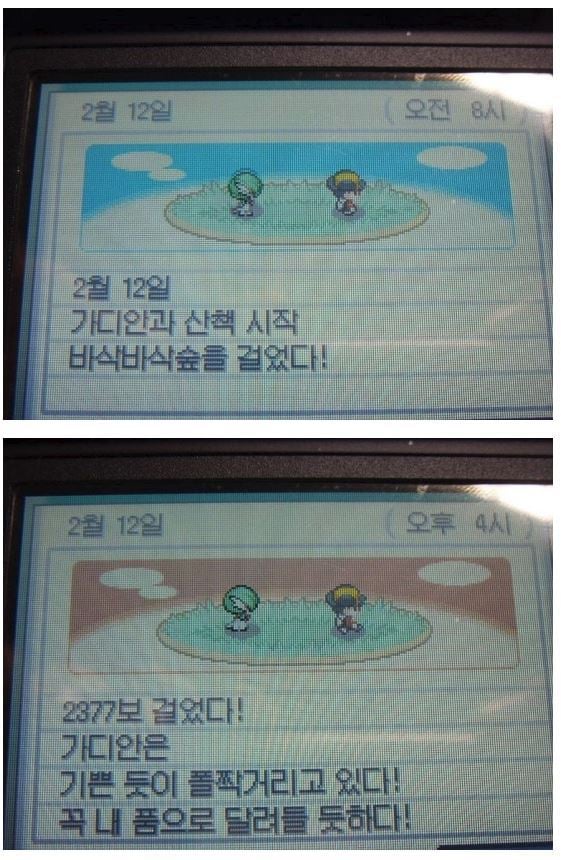 인간과 사랑을 나누었던 포켓몬 | 인스티즈