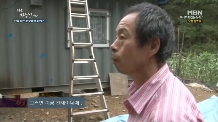 나는 자연인이다 말벌킬러 허명구씨ㅋㅋㅋㅋㅋㅋ | 인스티즈