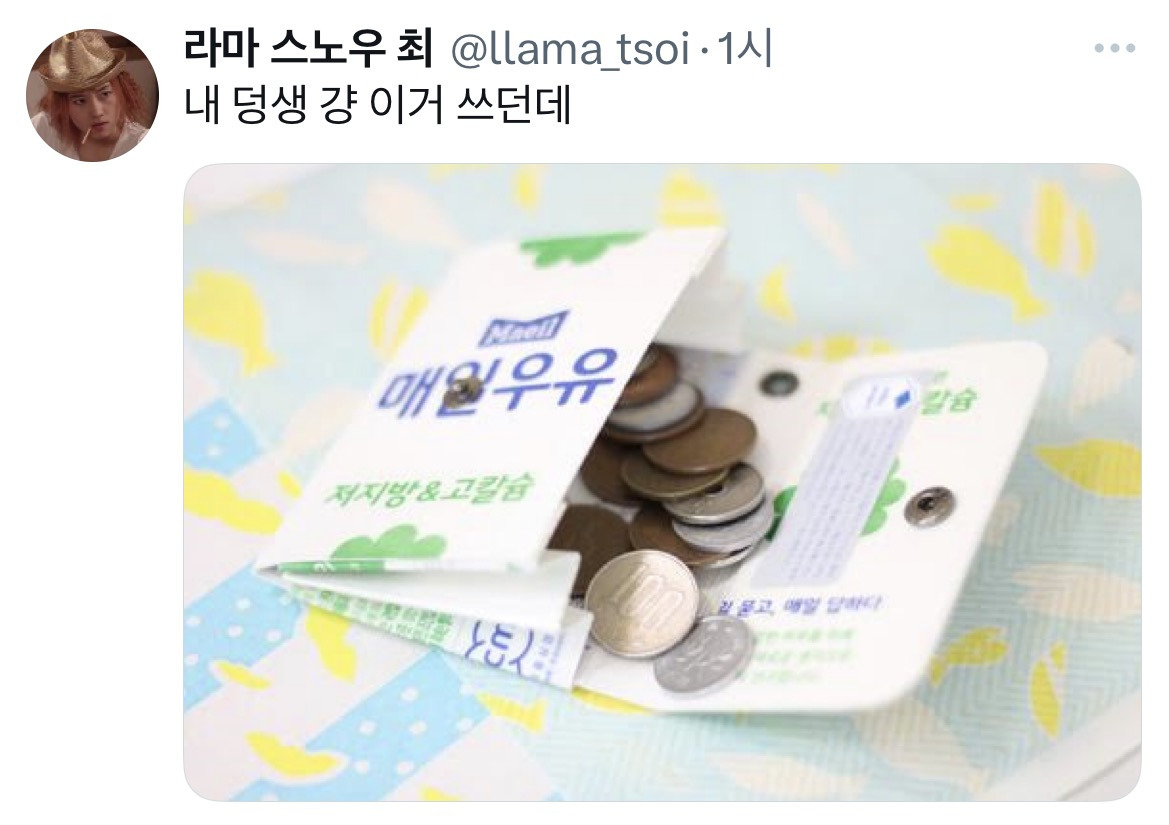 원래 사회초년생이 이런 지갑쓰고 어느정도 벌면 다이소지갑 씀.twt | 인스티즈