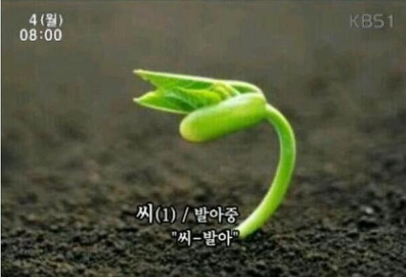 2001년 4세 여아 토막 살인사건의 전말 | 인스티즈