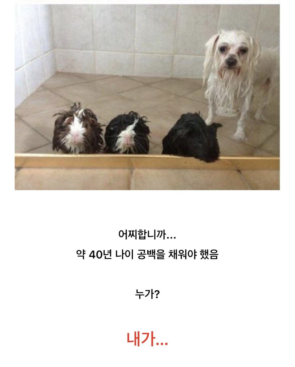 본인확인 때문에 0n년생이 6n년생 분장한 썰.twt | 인스티즈