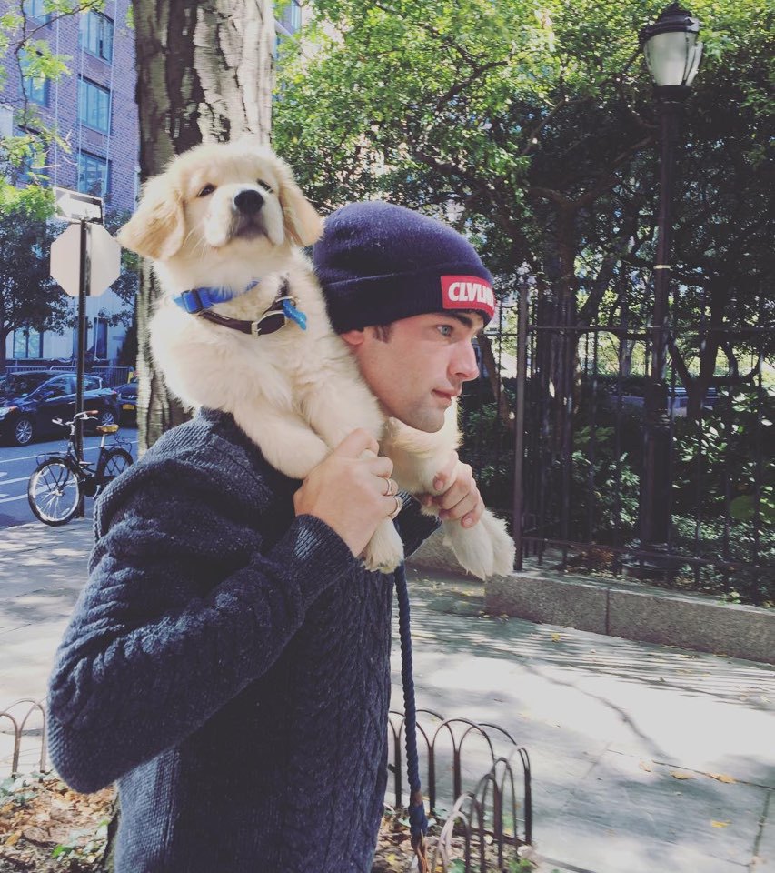 정말 말도안되게 잘생긴 미국모델 션 오프리.jpgif | 인스티즈