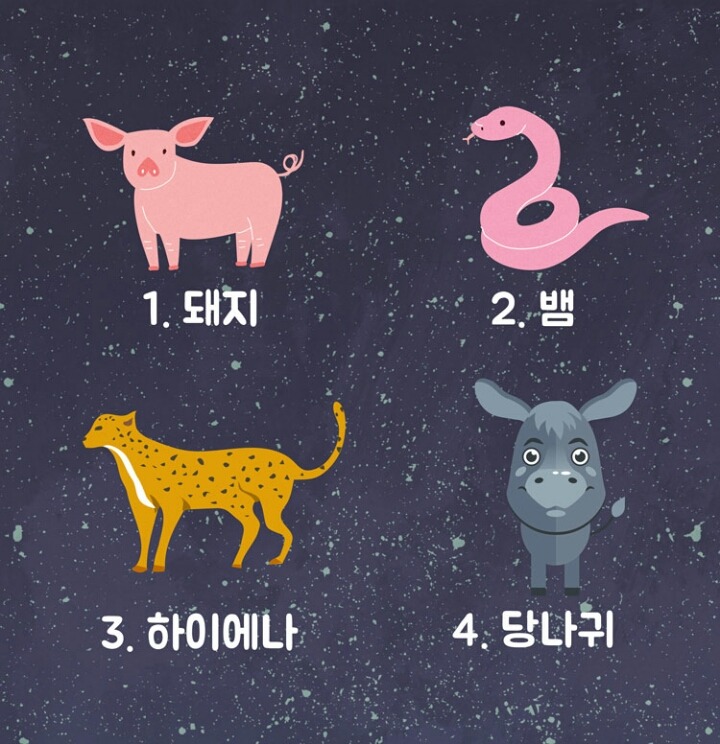 설마 나도 금사빠인가~? 본격 금사빠 테스트 | 인스티즈